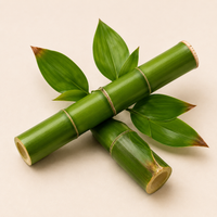 Bamboo Extract